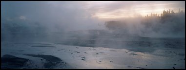 Steam rising in thermal geyser basin a dawn. Yellowstone National Park (Panoramic color)