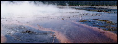 Steam rising from multi-colored thermal springs. Yellowstone National Park, Wyoming, USA.
