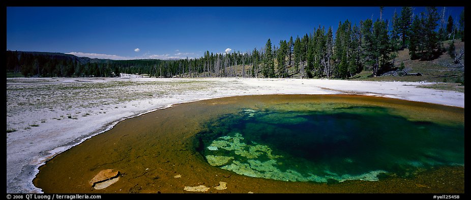 Landscape with thermal pool. Yellowstone National Park, Wyoming, USA.