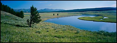 River and verdant meadows. Yellowstone National Park, Wyoming, USA.