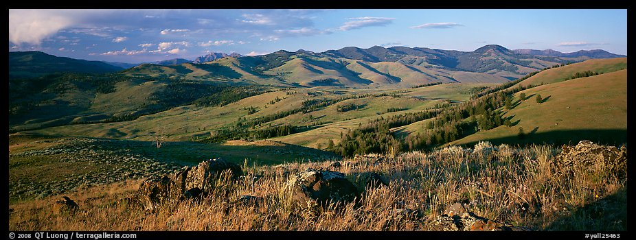 Hills in summer. Yellowstone National Park (color)