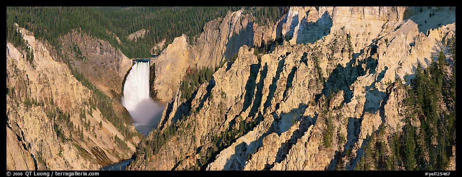 Yellowstone canyon and waterfall. Yellowstone National Park, Wyoming, USA.