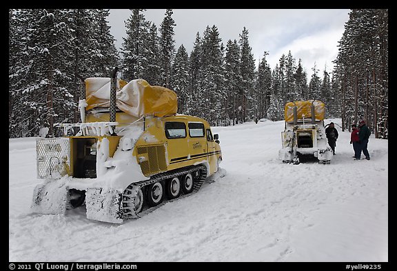 Snowcoaches on snow-covered road. Yellowstone National Park (color)