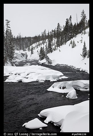 Lewis River and falls, winter. Yellowstone National Park (color)