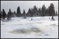 Steam rising from pool in winter, West Thumb. Yellowstone National Park, Wyoming, USA. (color)