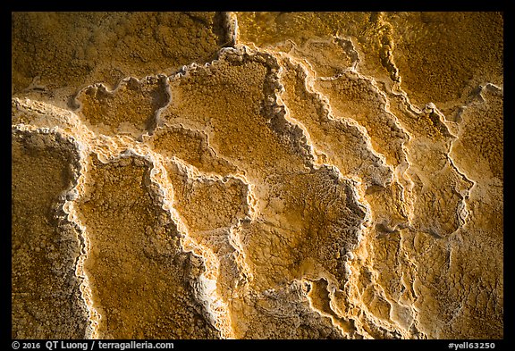 Travertine terrace detail, Mammoth Hot Springs. Yellowstone National Park (color)