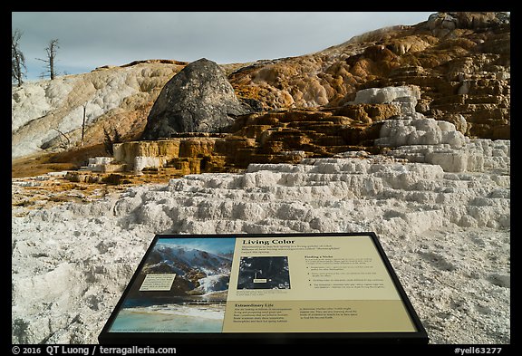Living Color interpretive sign, Mammoth Hot Springs. Yellowstone National Park, Wyoming, USA.