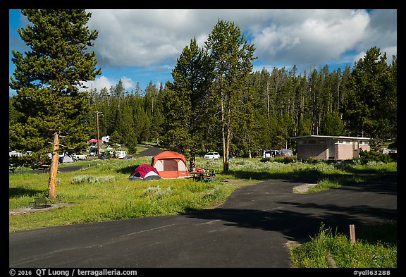 Bridge Bay Campground. Yellowstone National Park, Wyoming, USA.