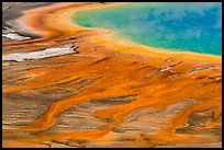 Grand Prismatic Spring detail from above. Yellowstone National Park ( color)