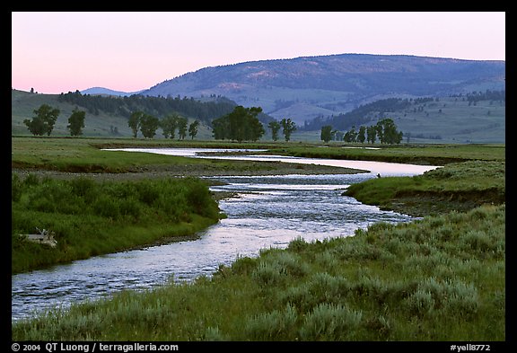 Soda Butte Creek, Lamar Valley, dawn. Yellowstone National Park, Wyoming, USA.