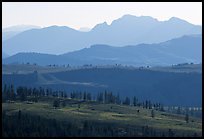 Backlit ridges of Absaroka Range from Dunraven Pass, early morning. Yellowstone National Park, Wyoming, USA. (color)