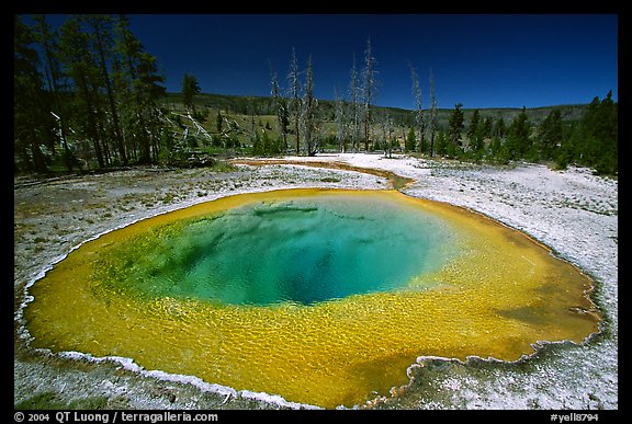Morning Glory Pool, midday. Yellowstone National Park