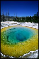 Bright colors of morning Glory Pool. Yellowstone National Park, Wyoming, USA. (color)