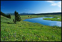 Bend of the Yellowstone River, Hayden Valley. Yellowstone National Park, Wyoming, USA.