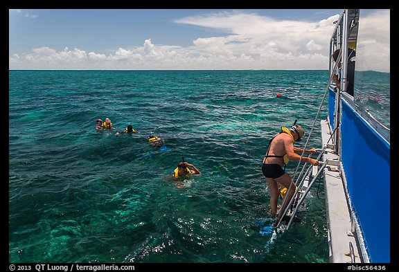 Snorkeling boat, snorklers and reef. Biscayne National Park (color)