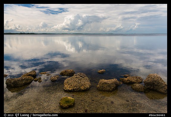 Rocks and Biscayne Bay reflections. Biscayne National Park, Florida, USA.