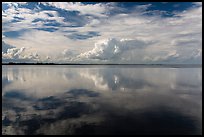 Clouds reflected in water, Biscayne Bay. Biscayne National Park ( color)