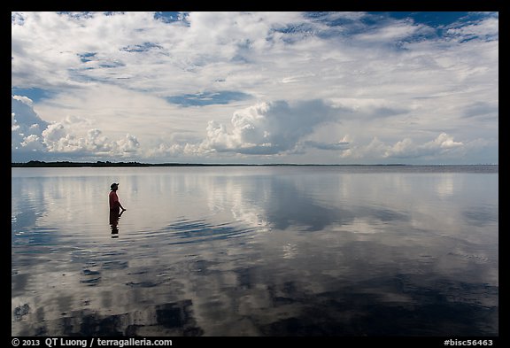 Park visitor looking, standing in glassy Biscayne Bay. Biscayne National Park, Florida, USA.