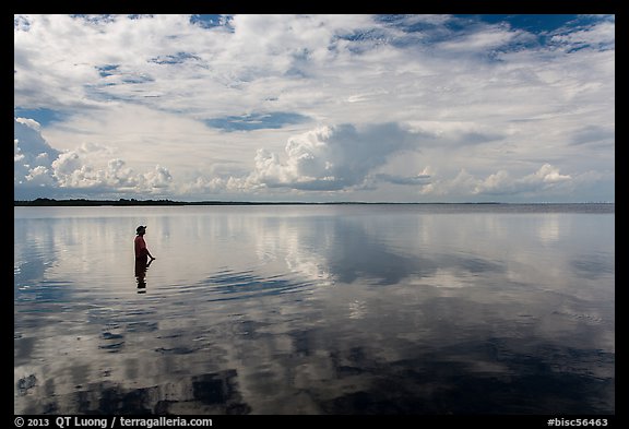 Park visitor looking, standing in glassy Biscayne Bay. Biscayne National Park (color)