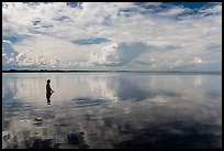 Park visitor looking, standing in glassy Biscayne Bay. Biscayne National Park, Florida, USA.
