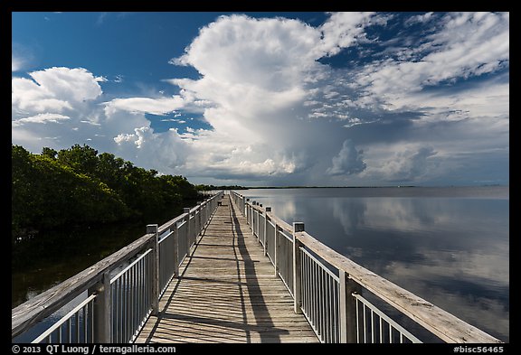 Boardwalk and mangroves, Convoy Point. Biscayne National Park, Florida, USA.