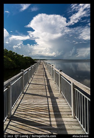 Boardwalk and Biscayne Bay, Convoy Point. Biscayne National Park, Florida, USA.
