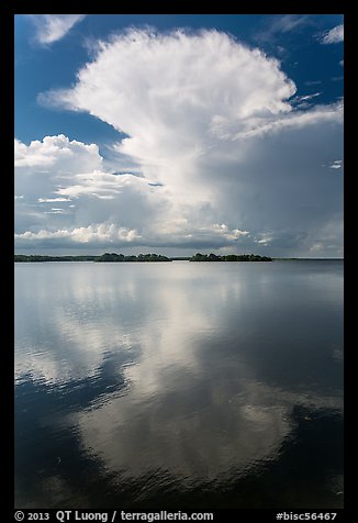 Cumulonimbus clouds, and mangrove-covered islets, Biscayne Bay. Biscayne National Park, Florida, USA.