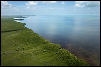 Aerial view of mainland mangrove coast. Biscayne National Park ( color)