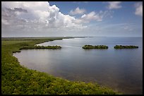 Aerial view of mainland coast near Convoy Point. Biscayne National Park ( color)