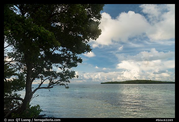 Sands Key across Lewis Cut from Boca Chita Key. Biscayne National Park (color)