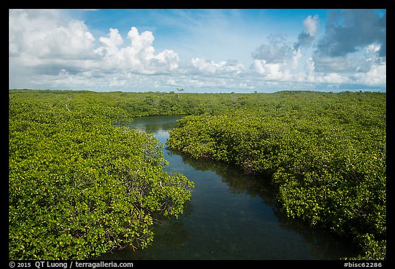 Channel in mangrove forest. Biscayne National Park (color)