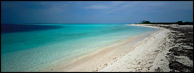 Deserted tropical beach with turquoise water. Dry Tortugas National Park (Panoramic color)