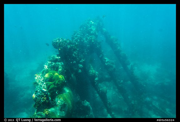 Sunken wreck of Avanti. Dry Tortugas National Park, Florida, USA.