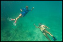 Couple free diving. Dry Tortugas National Park, Florida, USA. (color)