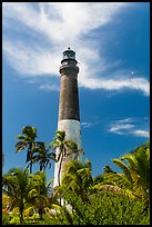 Palm trees and Dry Tortugas Light Station, Loggerhead Key. Dry Tortugas National Park, Florida, USA. (color)