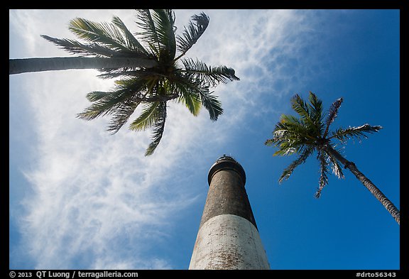 Looking up palm trees and Loggerhead Lighthouse. Dry Tortugas National Park, Florida, USA.