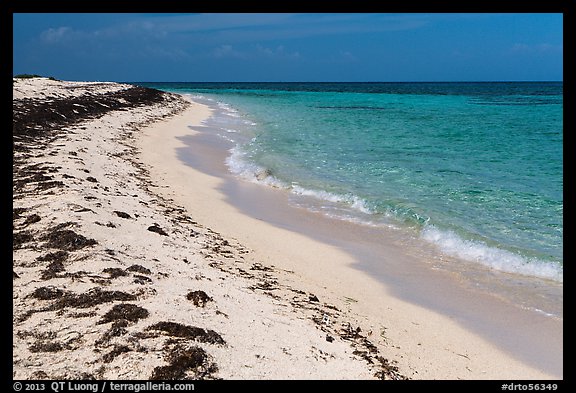 Beach with beached seagrass, Loggerhead Key. Dry Tortugas National Park (color)