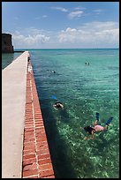 Snorkelers next to Fort Jefferson seawall. Dry Tortugas National Park, Florida, USA. (color)