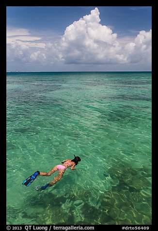 Woman snorkeling. Dry Tortugas National Park (color)