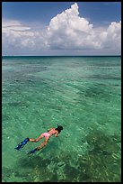 Woman snorkeling. Dry Tortugas National Park, Florida, USA. (color)