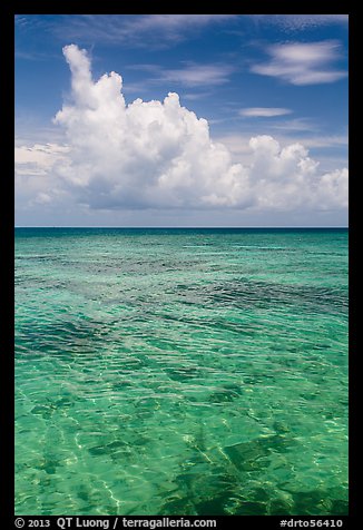 Reef and tropical clouds. Dry Tortugas National Park, Florida, USA.