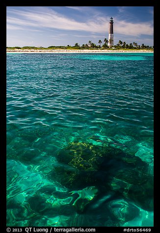 Coral head and Loggerhead Key lighthouse. Dry Tortugas National Park, Florida, USA.