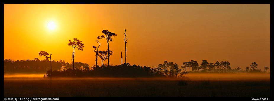 Sunrise landscape with mist on the ground. Everglades National Park, Florida, USA.
