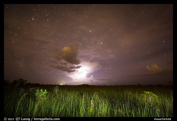 Sawgrass prairie with cloud lit by lightening. Everglades National Park, Florida, USA.