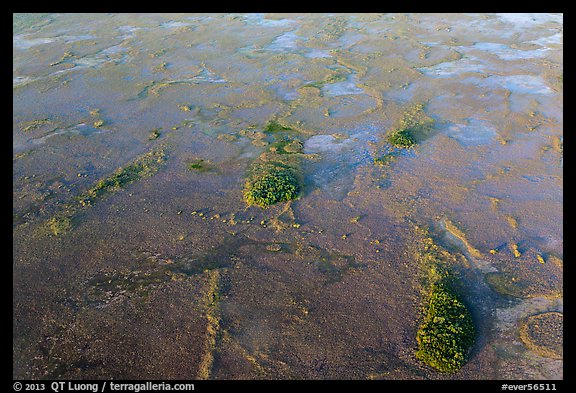 Aerial view of freshwater marl prairie. Everglades National Park, Florida, USA.
