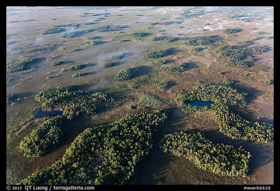 Aerial view of hammocks and fog. Everglades National Park, Florida, USA.