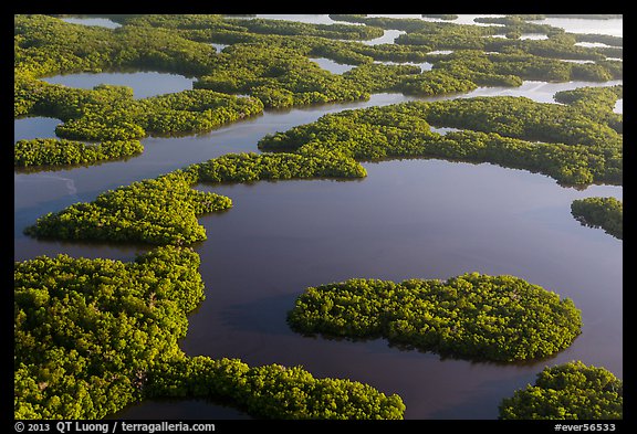 Aerial view of maze of waterways and mangrove islands. Everglades National Park, Florida, USA.