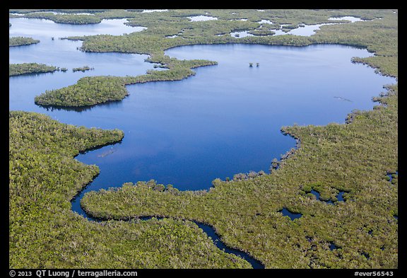 Aerial view of mangrove-fringed lake. Everglades National Park, Florida, USA.