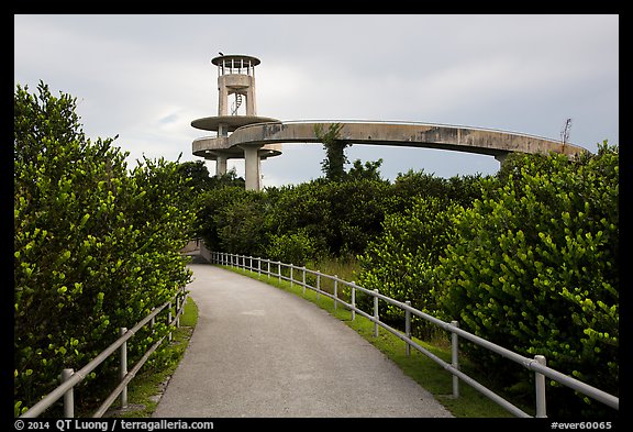 Trail and observation tower, Shark Valley. Everglades National Park (color)