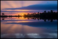 Sunset reflections, Pines Glades Lake. Everglades National Park ( color)